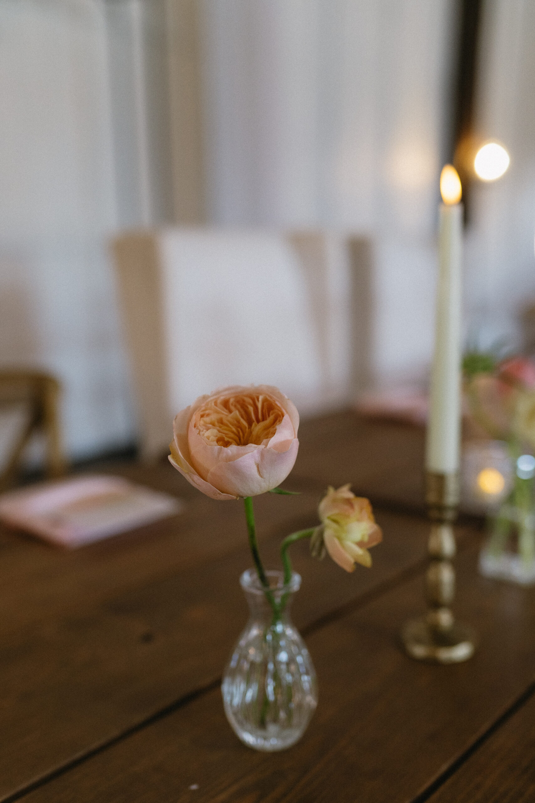 A peach flower on a table at White Willow Farms 